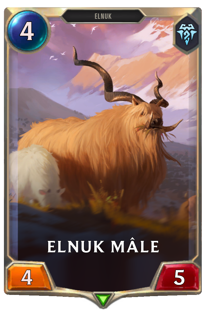 Elnuk mâle