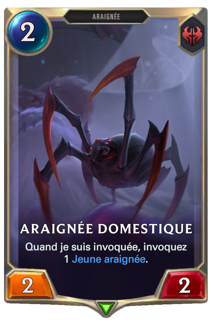 Araignée domestique