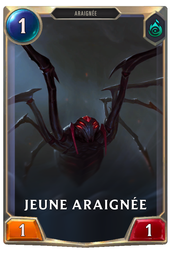 Jeune araignée