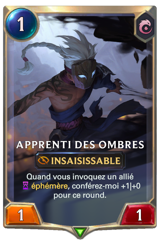 Apprenti des ombres