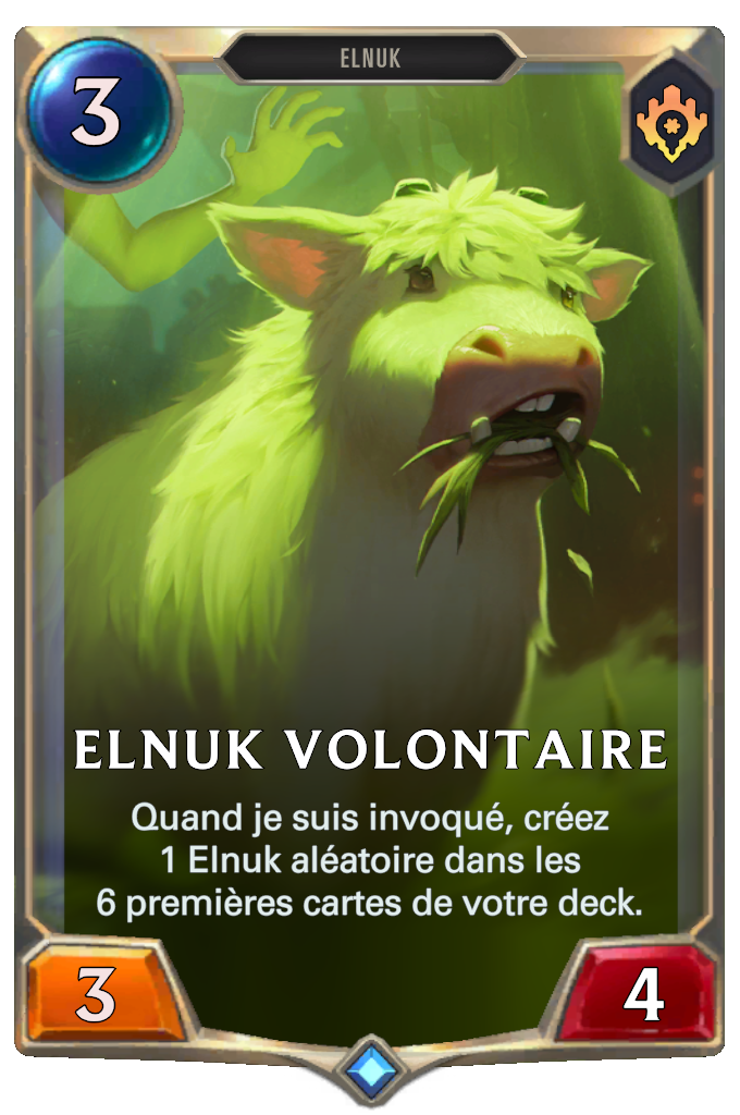 Elnuk volontaire
