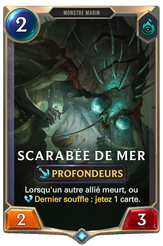 Scarabée de mer
