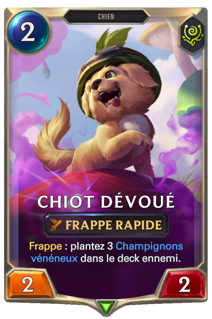 Chiot dévoué