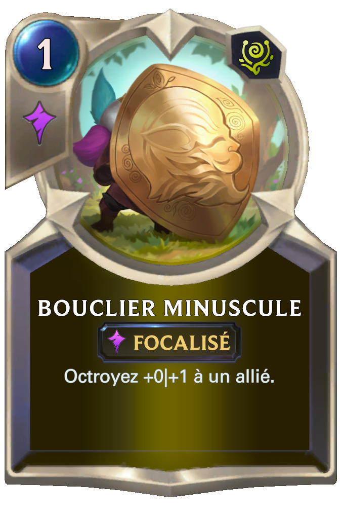 Bouclier minuscule