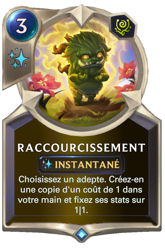Raccourcissement